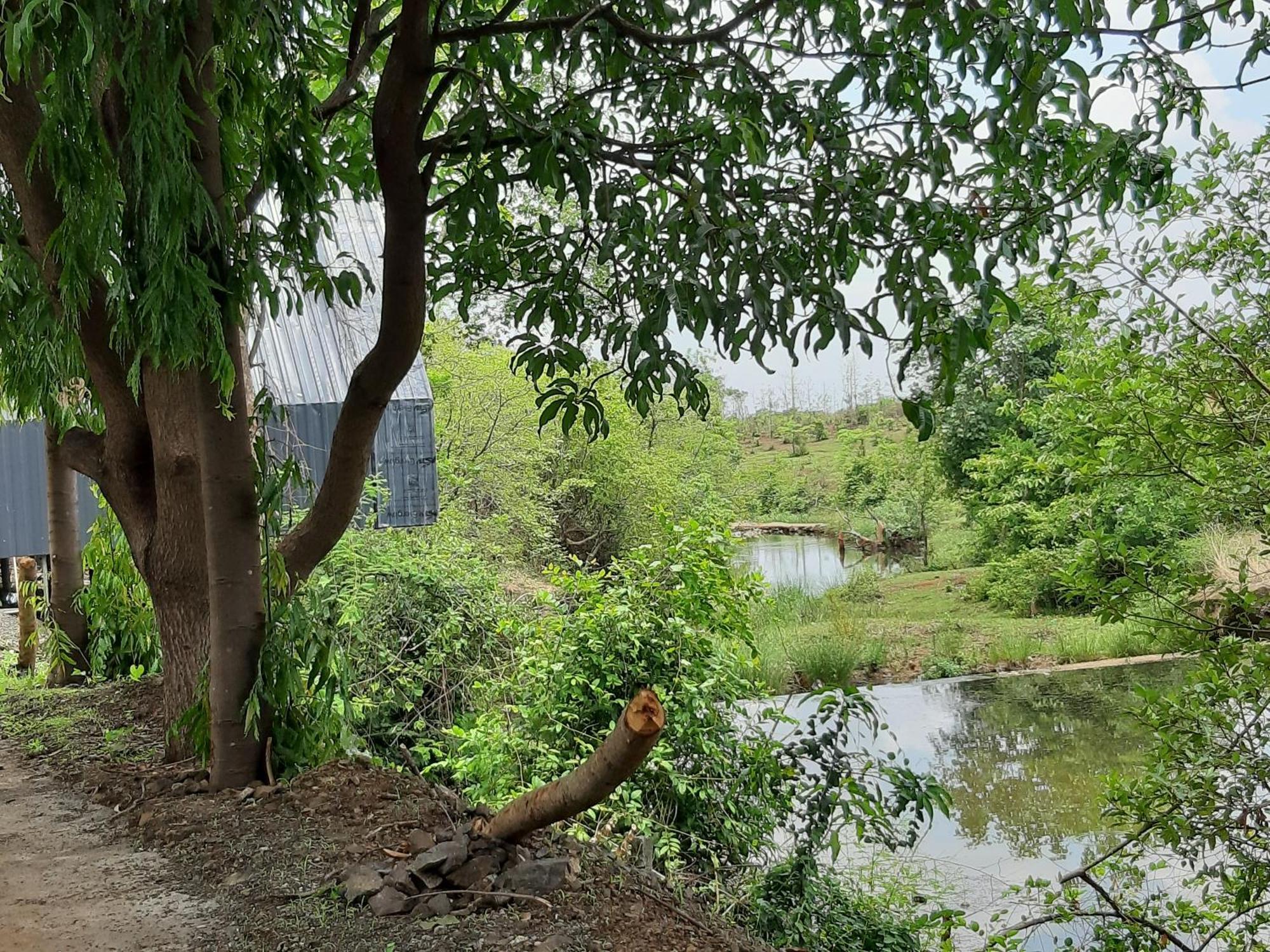 River Ranch Saralgaon Екстериор снимка